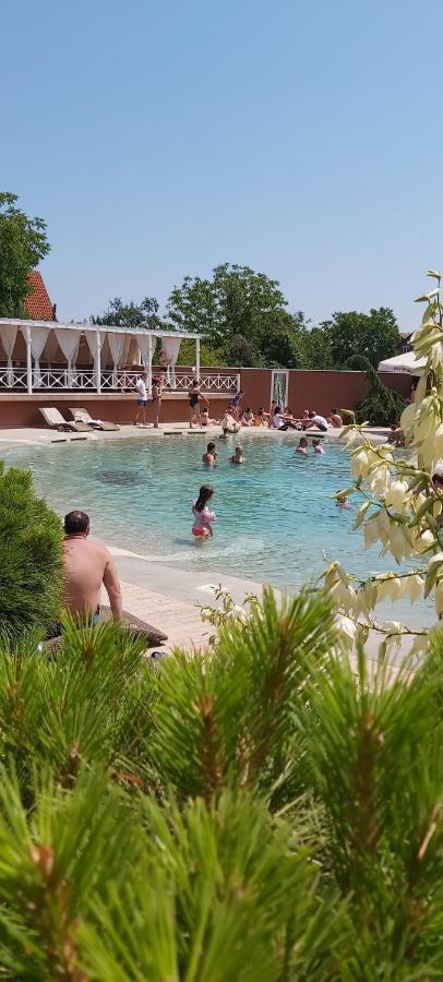 Solaris Resort Vrnjacka Banja Bagian luar foto
